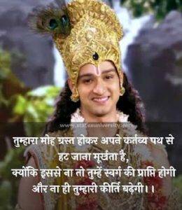 krishna quotes in hindi 3